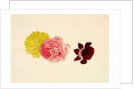 Flowers - Rose and French Marigold by Alexander Dyce