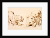 Two studies of a crouching lioness by Peter Paul Rubens