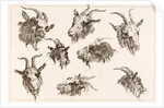 Goat from different angles by Unknown