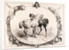 Chevaux au Pâturage by Unknown