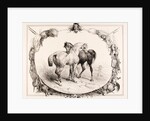 Chevaux au Pâturage by Unknown