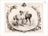 Chevaux au Pâturage by Unknown