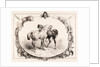 Chevaux au Pâturage by Unknown
