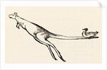 A B C Lear Alphabet by Edward Lear