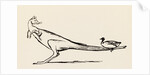 A B C Lear Alphabet by Edward Lear
