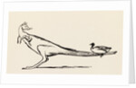 A B C Lear Alphabet by Edward Lear