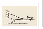 A B C Lear Alphabet by Edward Lear