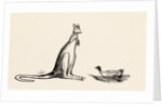 A B C Lear Alphabet by Edward Lear
