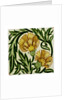 Carnation flowers tile by William De Morgan