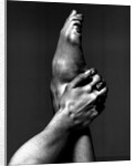 London Contemporary Dance School student's hand holding a foot by Anthony Crickmay