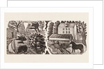 Illustration by Eric Ravilious