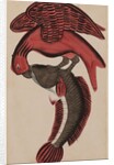 Eagle holding a fish by Unknown