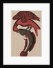 Eagle holding a fish by Unknown