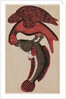 Eagle holding a fish by Unknown