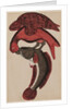 Eagle holding a fish by Unknown