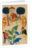 In the Bamboo grove even a Jackal is King by Unknown