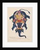 Shiva as the slayer of the elephant demon, Gajasura by Anonymous