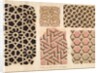 Architectural drawings of ornamental stone carvings on monuments in Fatehpur Sikri and Sikandra by Anonymous