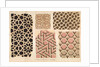 Architectural drawings of ornamental stone carvings on monuments in Fatehpur Sikri and Sikandra by Anonymous