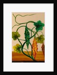 One of twelve drawings of fruits and vegetables depicting a karela by Unknown