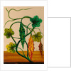One of twelve drawings of fruits and vegetables depicting a karela by Unknown