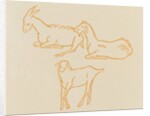 Goats by Aristide Maillol