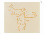 Goats by Aristide Maillol