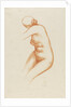 Female nude by Aristide Maillol
