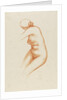 Female nude by Aristide Maillol