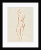 Female nude by Aristide Maillol