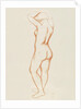 Female nude by Aristide Maillol