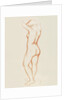Female nude by Aristide Maillol