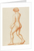 Female nude by Aristide Maillol