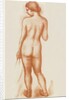 Female nude by Aristide Maillol