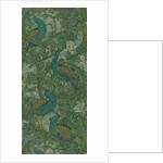 Peacock Garden by Anonymous