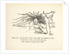 There was a Young Lady of Firle... by Edward Lear