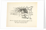There was a Young Lady of Firle... by Edward Lear