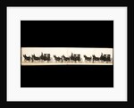The Funeral Procession of the Duke of Wellington by Samuel Henry Alken