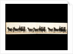 The Funeral Procession of the Duke of Wellington by Samuel Henry Alken