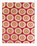 Textile with design of roundels by Unknown