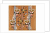 Design for a woven silk by Anonymous