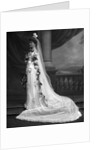 Miss Sheila Cooper by Lafayette Portrait Studios
