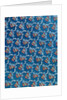 Woven silk dress fabric with fruits and flowers by Anonymous
