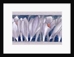 Crocus by Charles Robert Ashbee