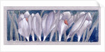 Crocus by Charles Robert Ashbee