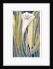 Lily by Charles Robert Ashbee