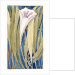 Lily by Charles Robert Ashbee