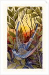 Blue Humming Bird by Anonymous