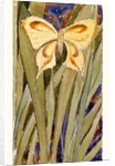 Yellow Butterfly by Anonymous