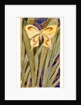 Yellow Butterfly by Anonymous
